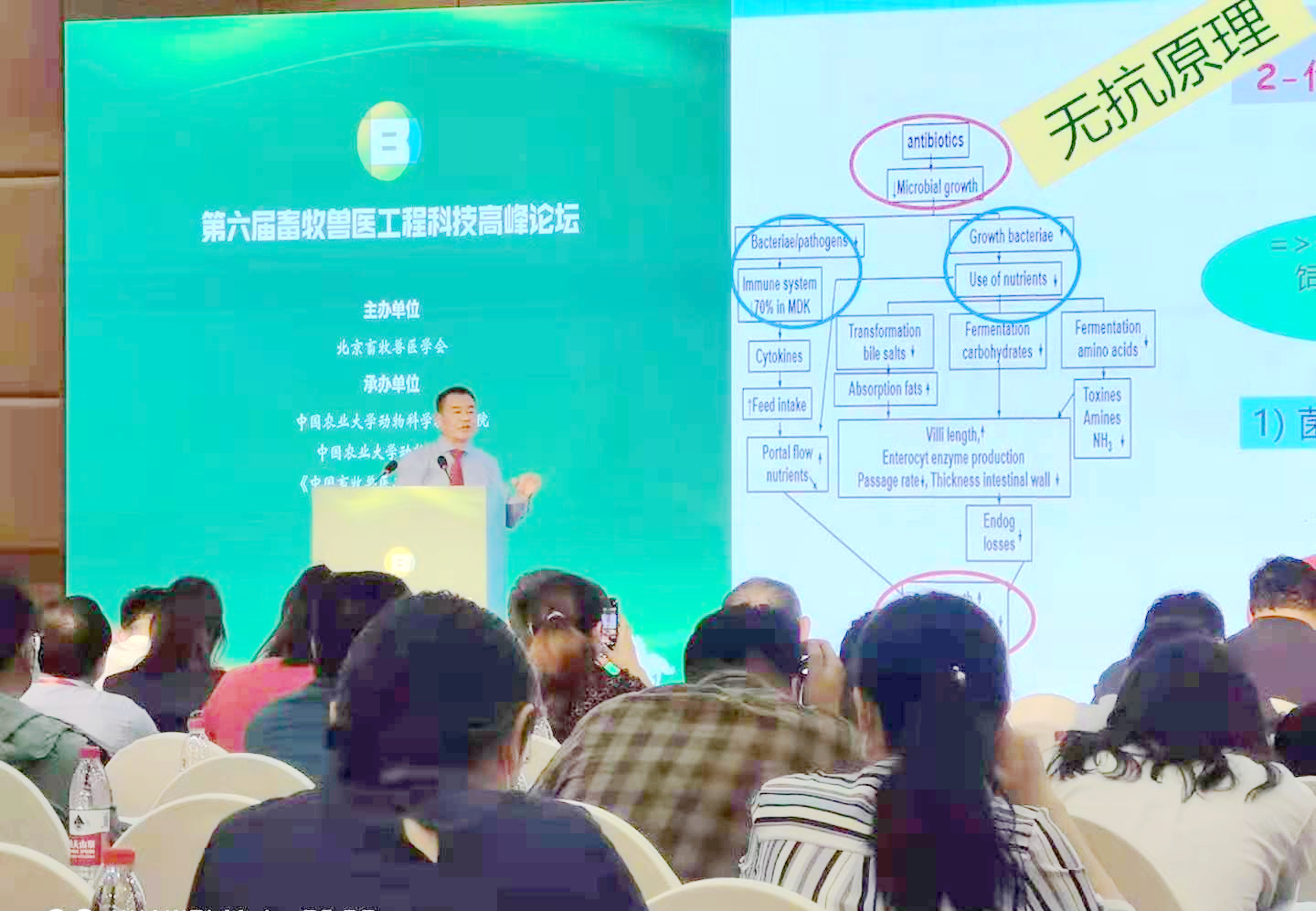 天然植物提取物在無抗中發(fā)揮哪些優(yōu)勢？